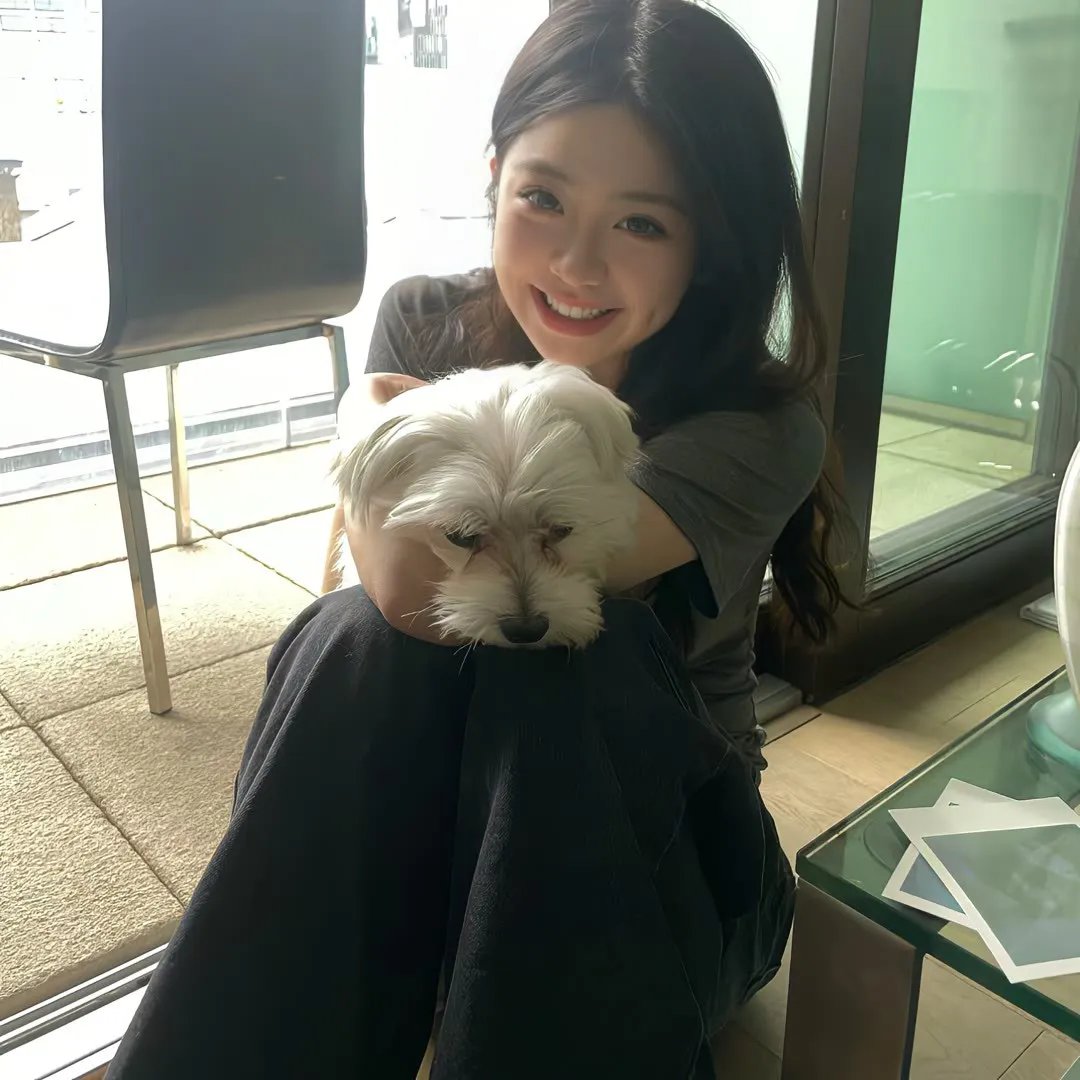 少年泰坦：犹大契约